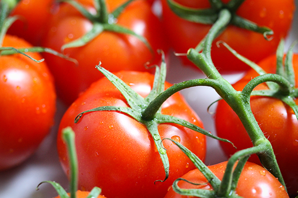 Frische Tomaten an der Rispe