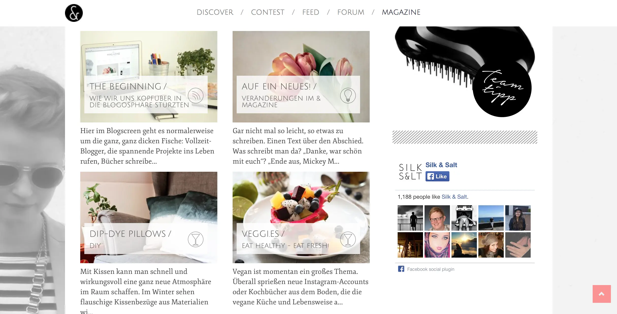 Veggies im Silk&Salt Magazine
