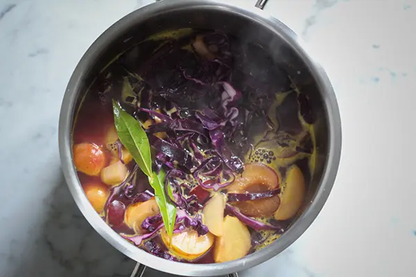 Vegane Rotkrautsuppe mit Kresse