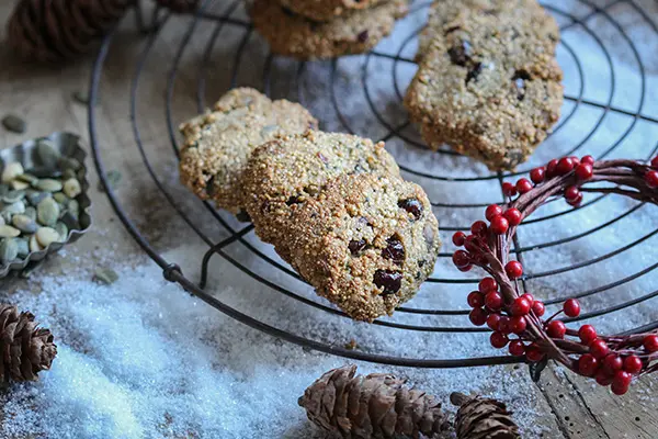 Vegane Amaranth-Cranberry-Cookies