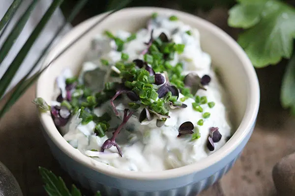 Veganer Kräuterquark