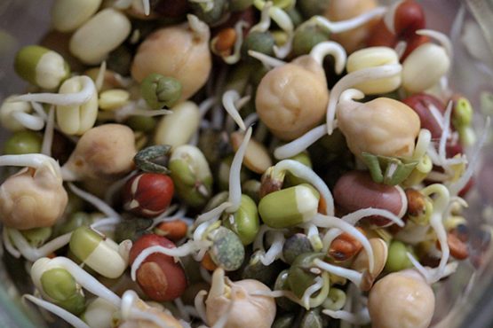 Austernpilz-Sprossen-Geschnetzeltes mit Erbsen & Naturreis • veggies ... Austernpilz-Sprossen-Geschnetzeltes mit Erbsen & Naturreis • veggies ...