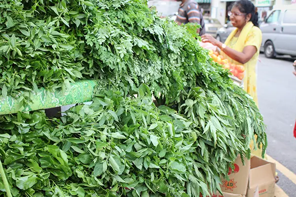 Herrliche Kräuter in Little India