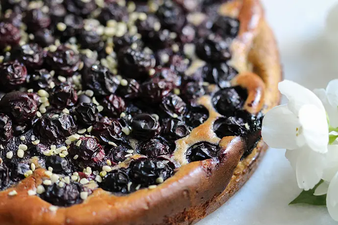 Veganer, glutenfreier Heidelbeerkuchen ohne Industriezucker