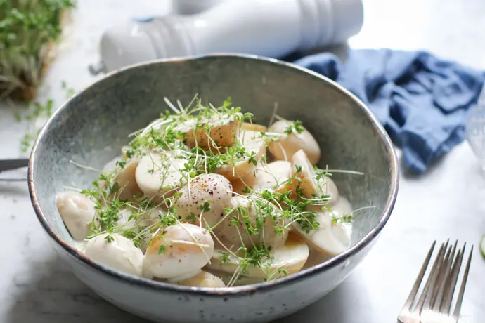 Veganer Kartoffelsalat mit Joghurtsauce