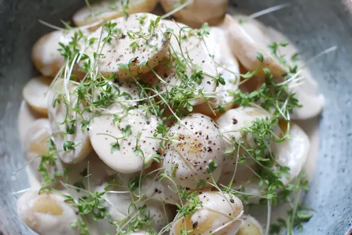 Veganer Kartoffelsalat mit Joghurtsauce