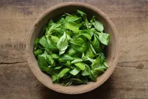 Frischer Feldsalat oder Vogerlsalat