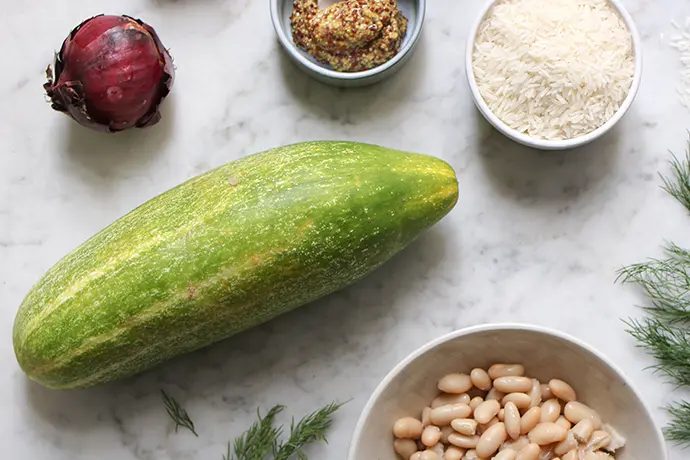 Vegane Schmorgurke mit Reis