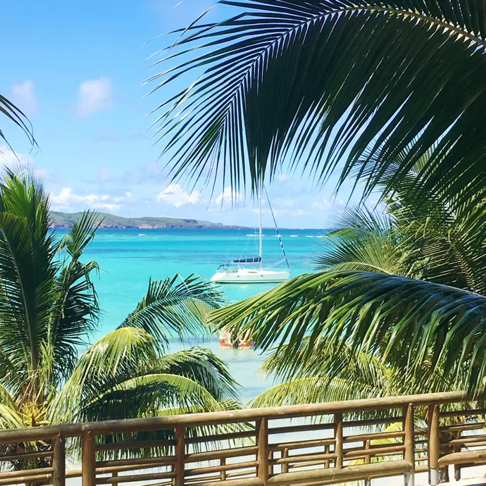Vegan auf mauritius