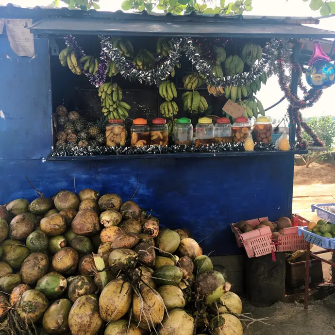 Vegan auf Mauritius