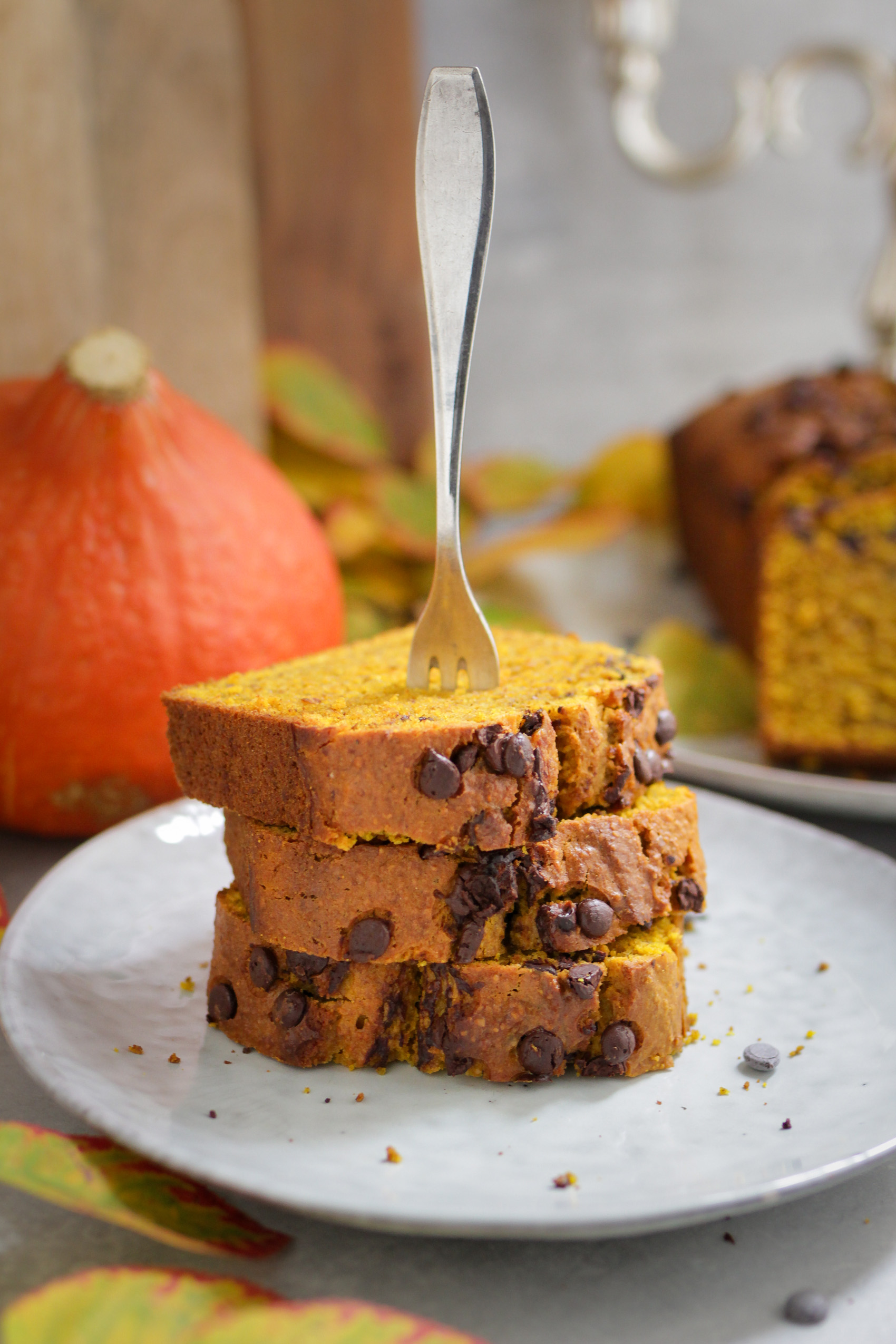 Einfacher veganer Kürbiskuchen mit Schokodrops