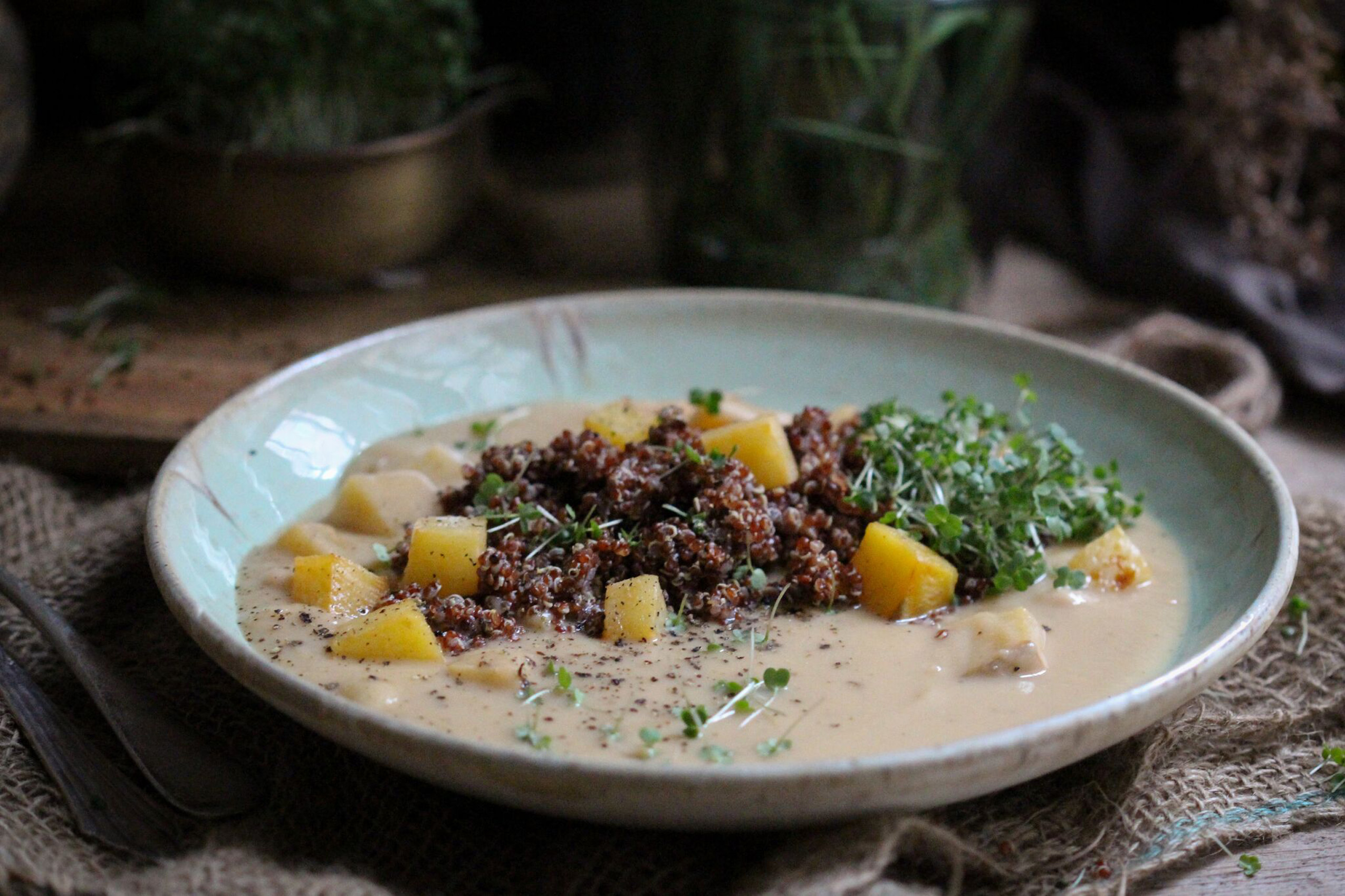 Geröstete Steckrübensuppe mit roter Quinoa • veggies | vegan