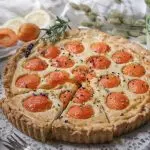 Veganer Aprikosen-Quarkkuchen