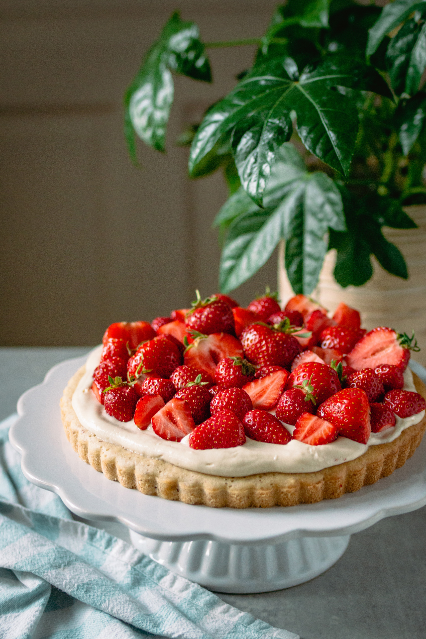 Rezept für veganen Erdbeerkuchen mit Biskuitboden