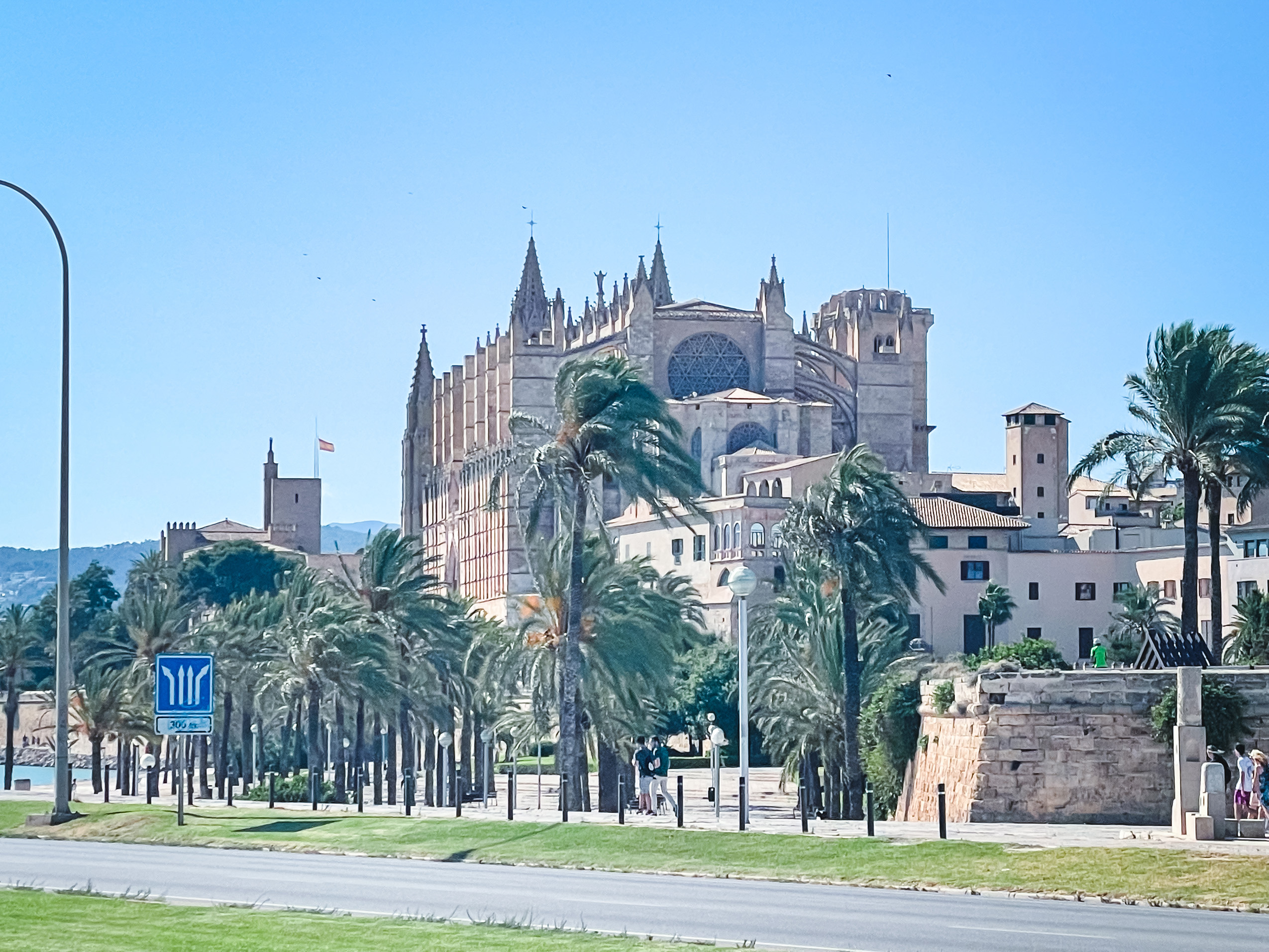 Vegan in Palma auf Mallorca – Ein Reisebericht