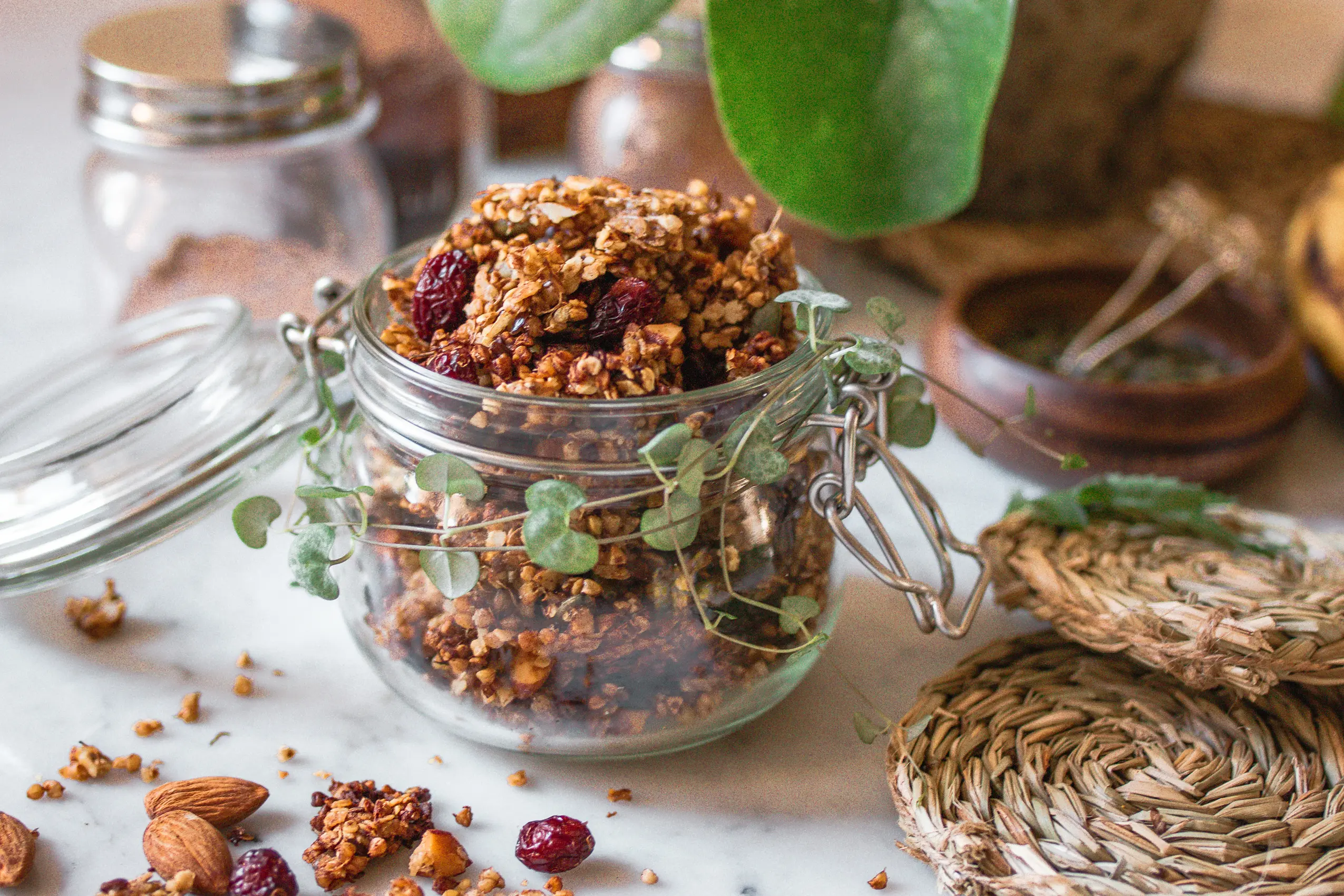 Rezept für gekeimtes Granola