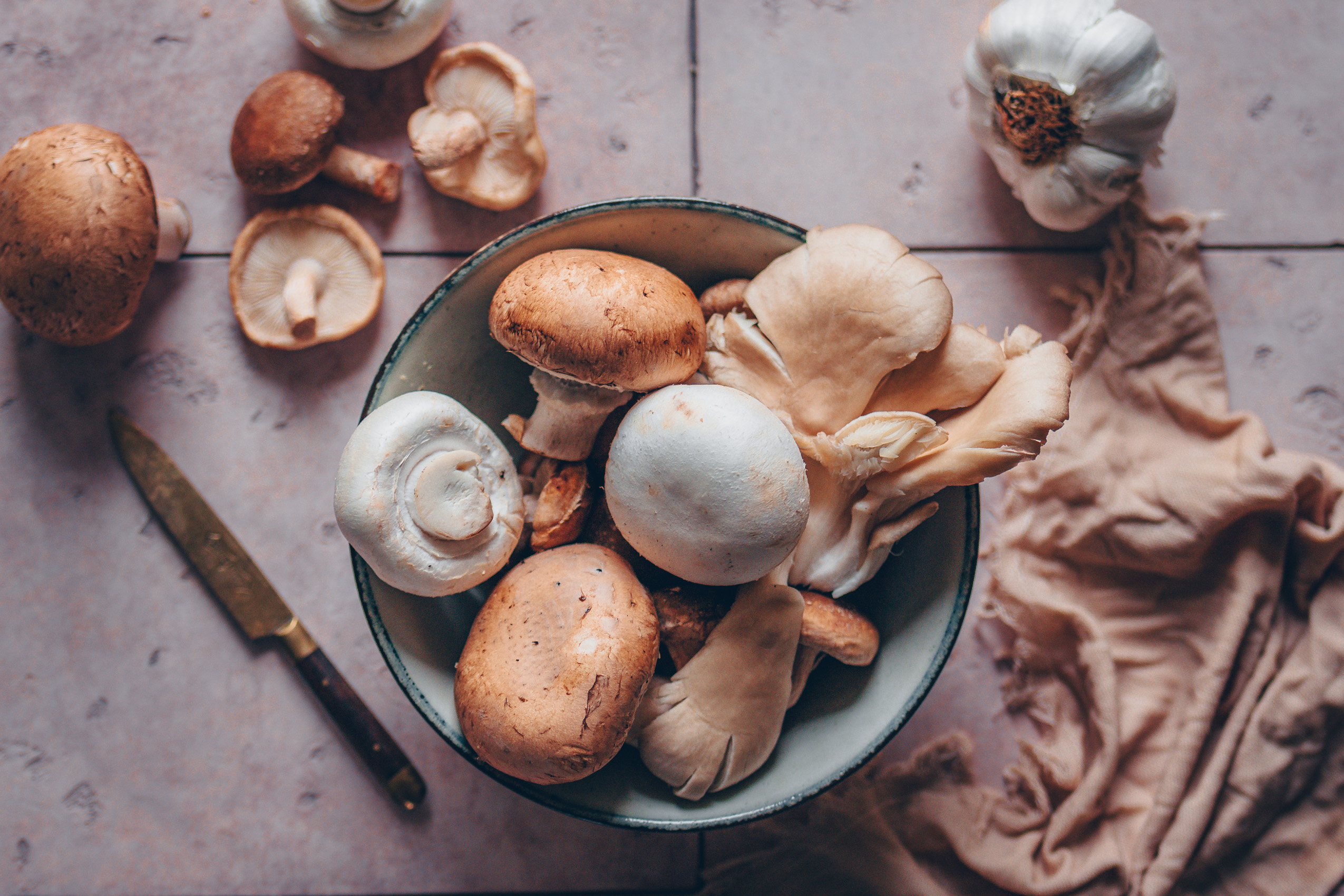 Pilzmischung aus Champignons, Shiitake und Austernpilzen
