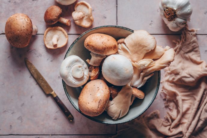 Gemischte Pilze - Champignons, Austernpilze, Shiitake - in einer Schale