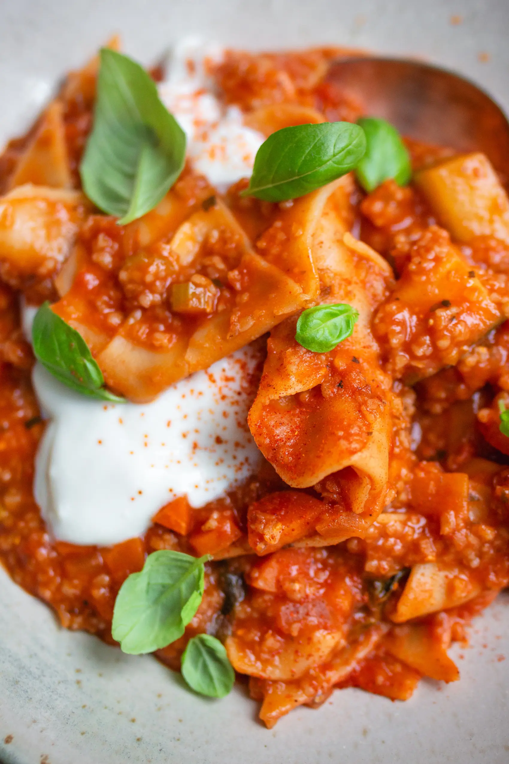 Vegane Lasagne-Suppe oder One Pot Lasagne