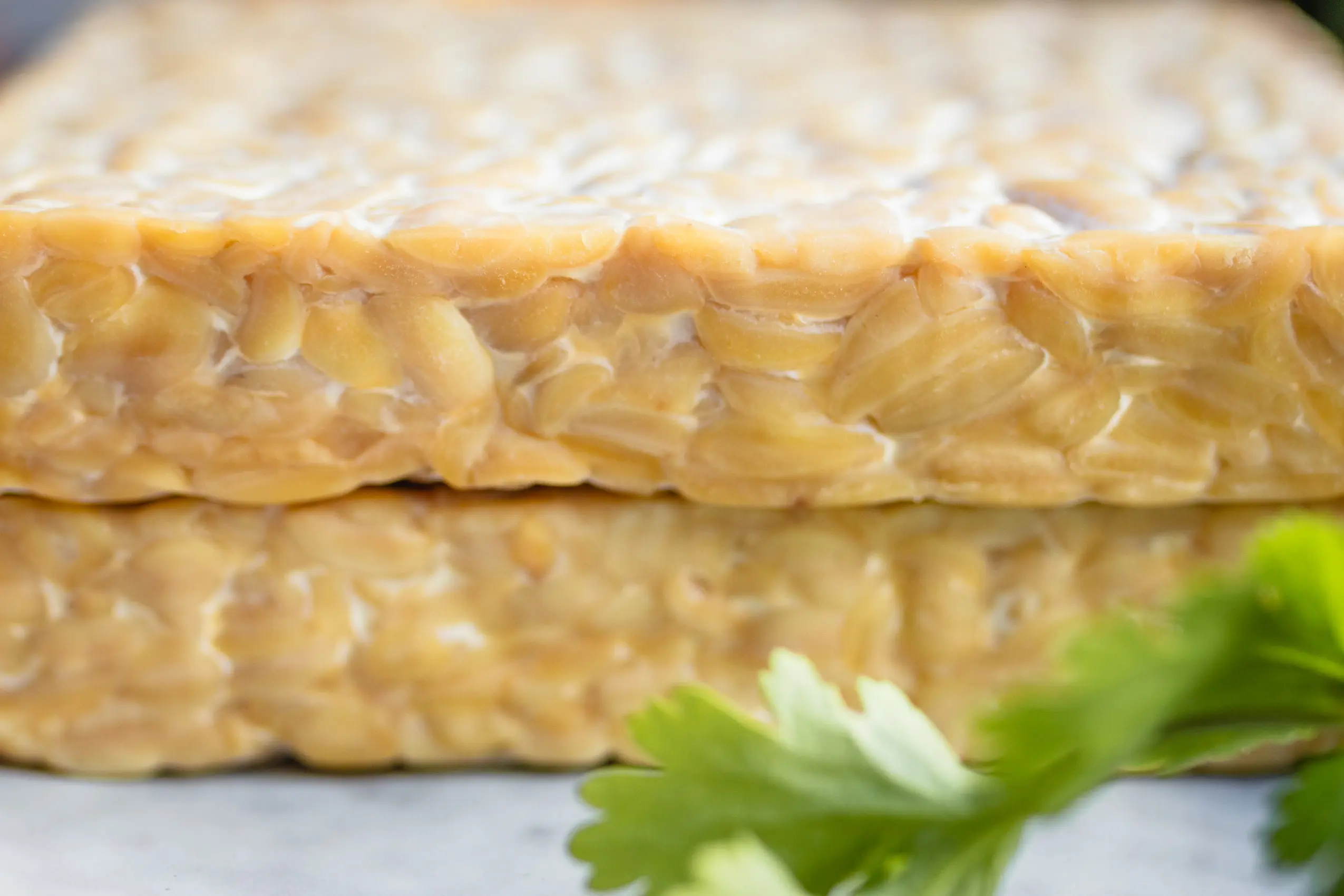 Tempeh