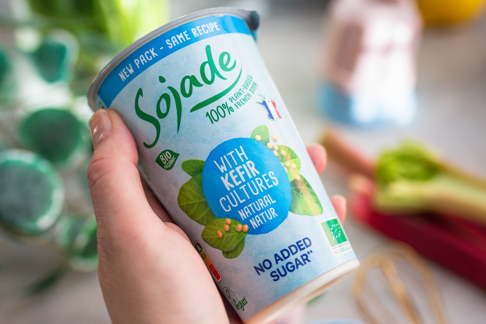 Kefir-Kokos-Panna Cotta mit Rhabarber • veggies | vegan