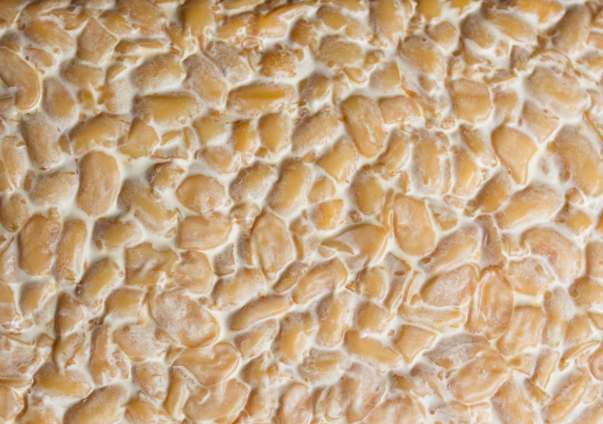 Tempeh-Braten im Wirsingmantel • veggies | vegan