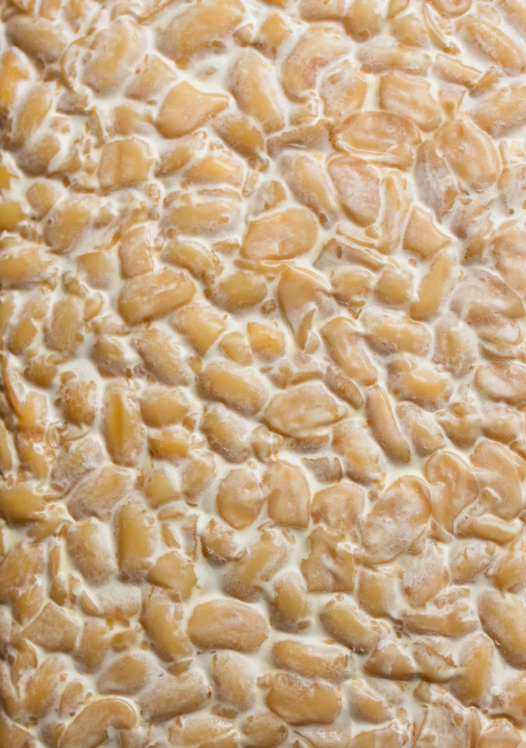 Tempeh richtig zubereiten - Tempehmanufaktur