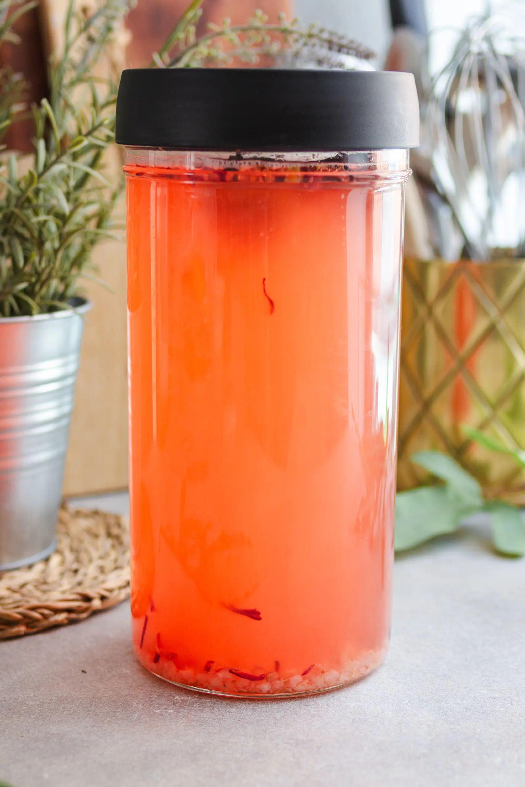 Wasserkefir selber machen