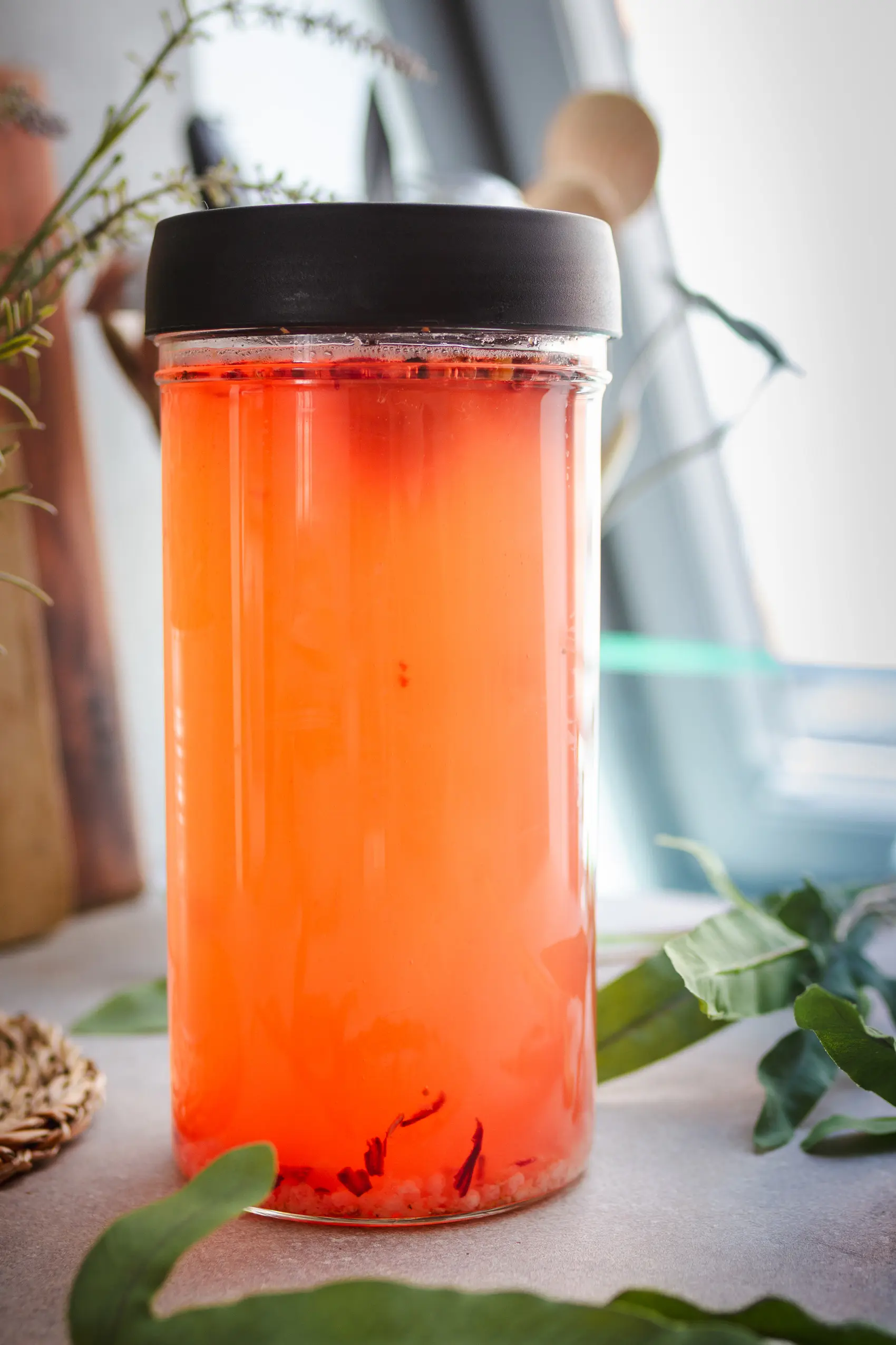 Wasserkefir selber machen
