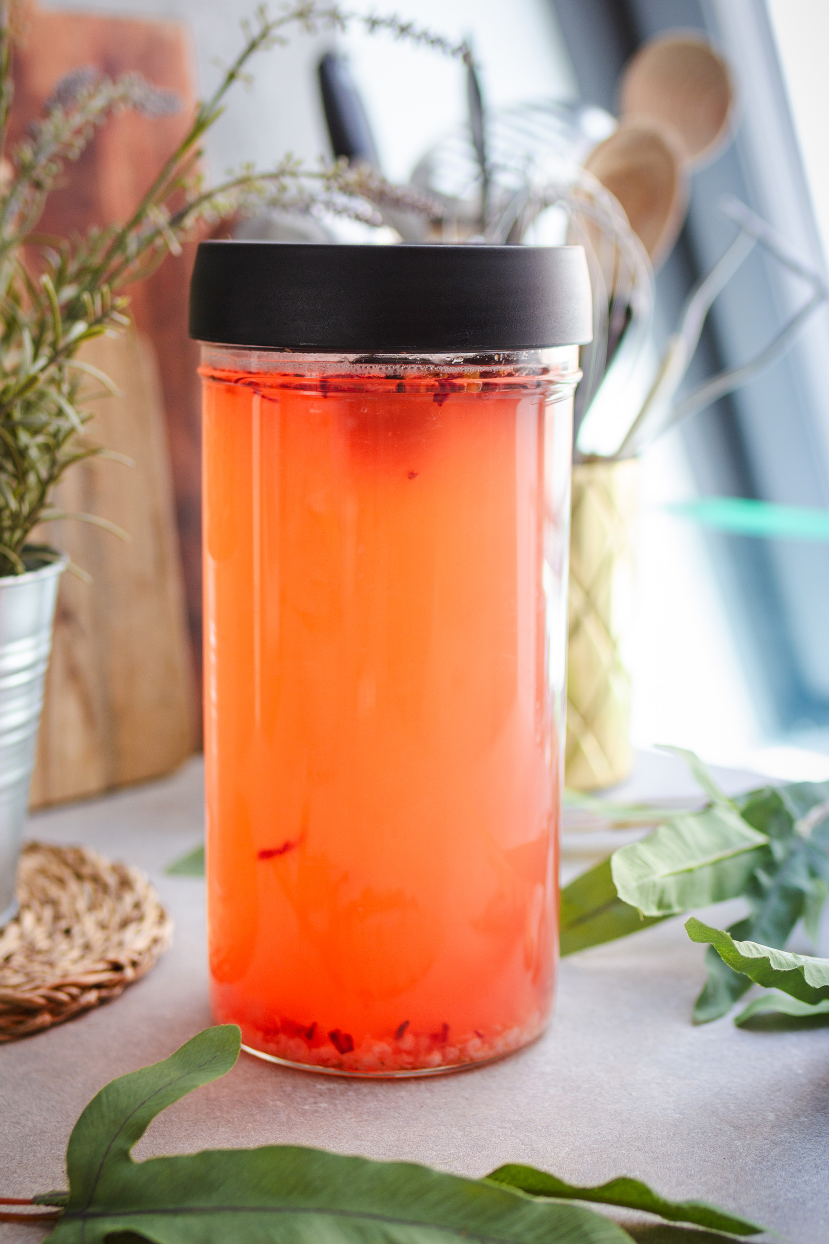 Wasserkefir selber machen