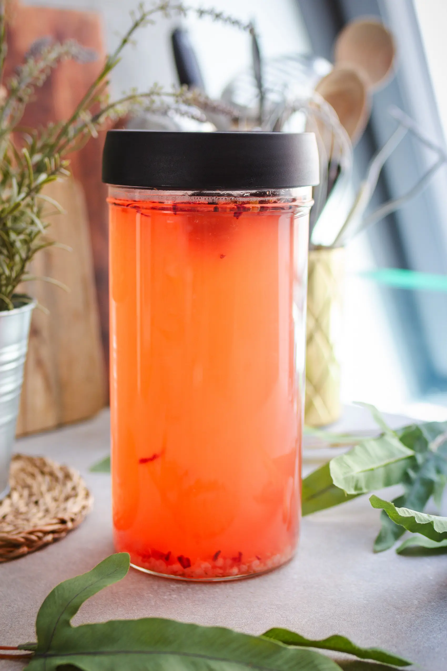 Wasserkefir selber machen