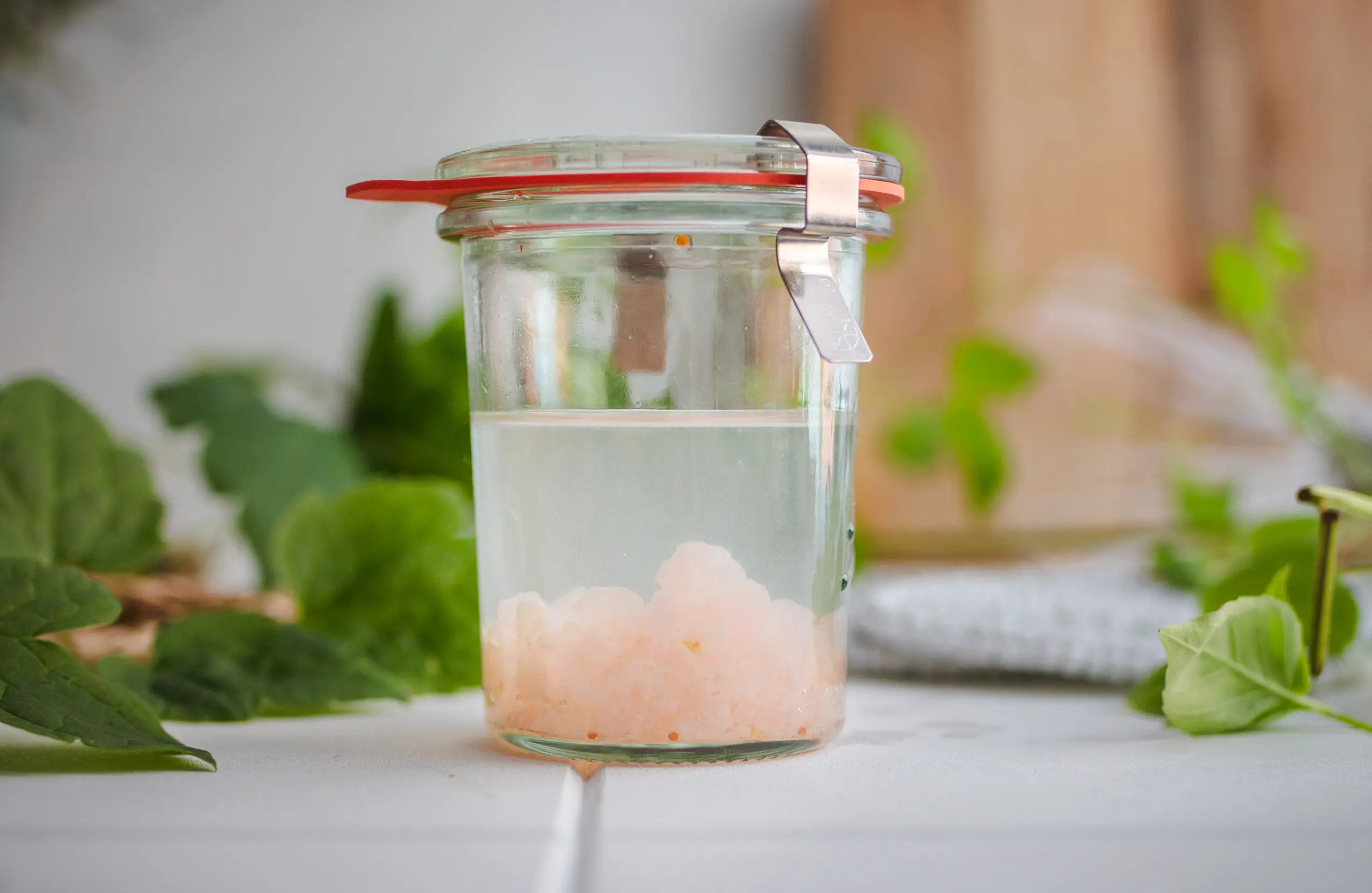 Wasserkefir-Kristalle