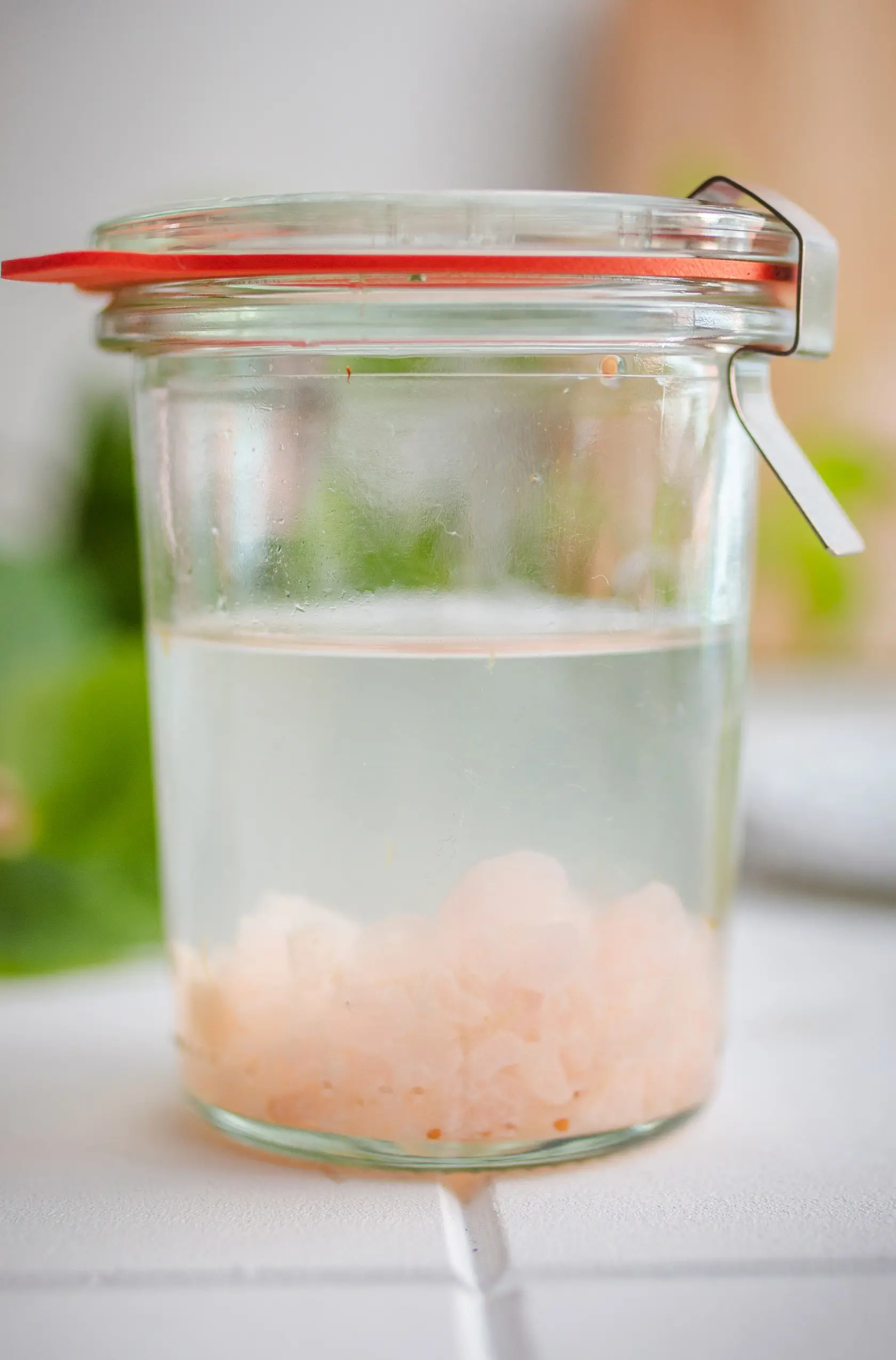 Wasserkefir-Kristalle