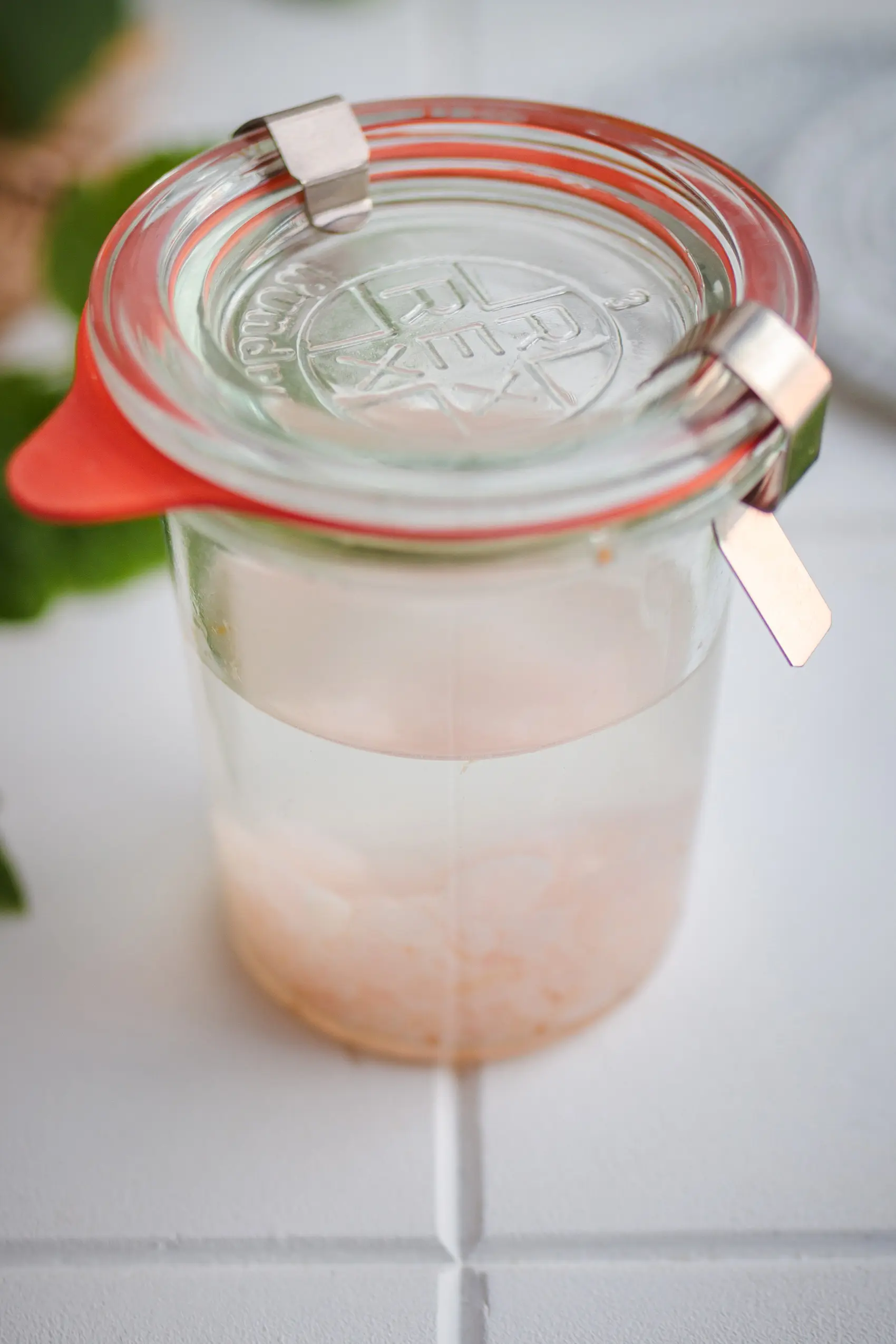 Wasserkefir-Kristalle