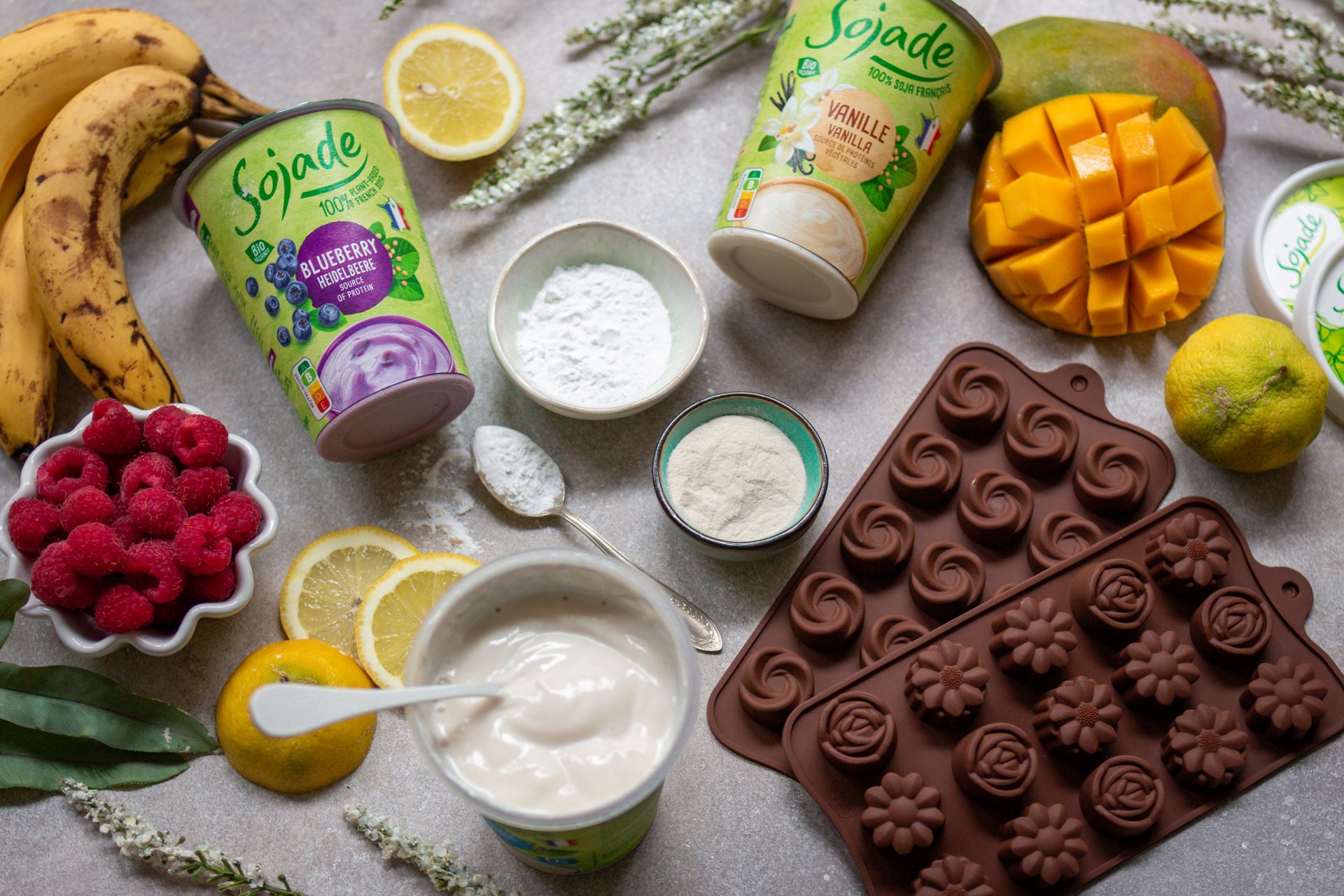 Zutaten für selbstgemachte, vegane Joghurt-Gums