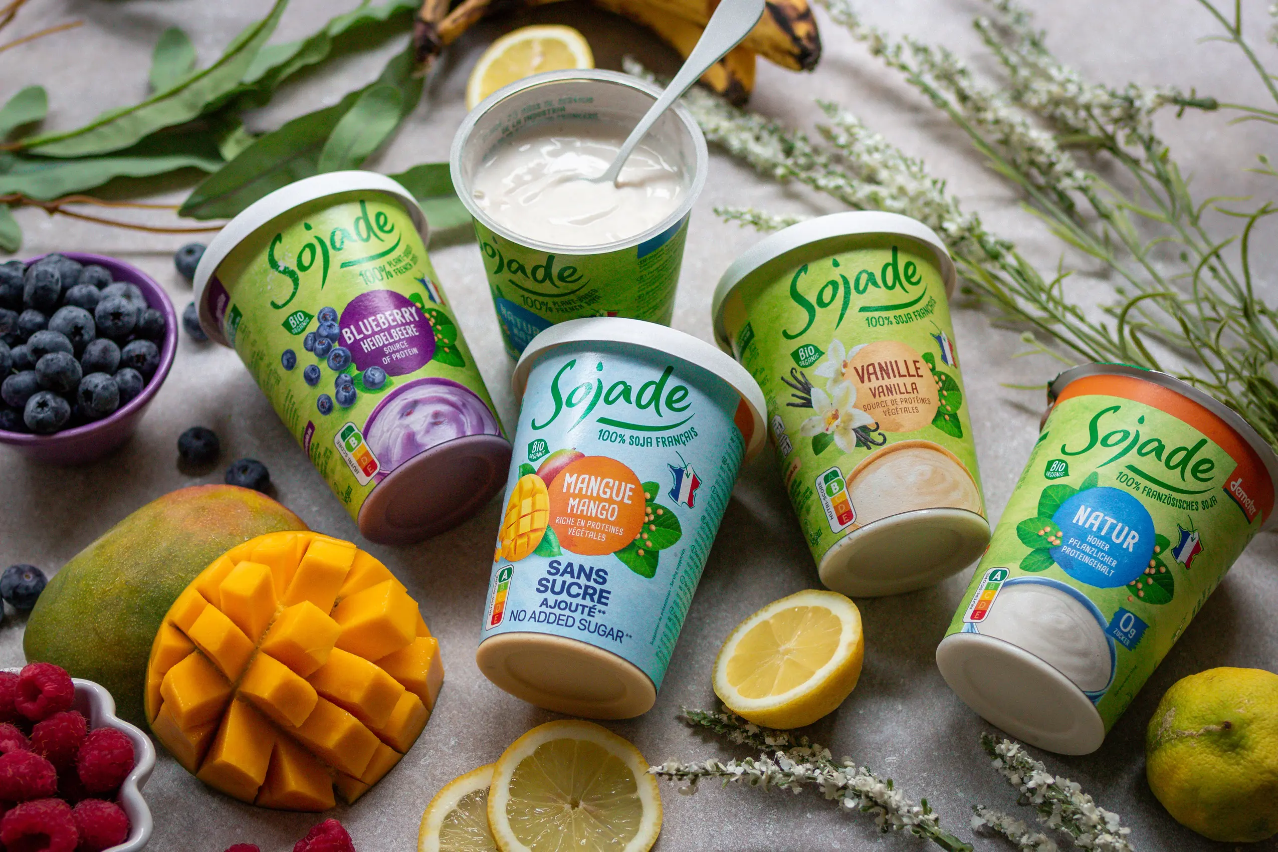 Zutaten für selbstgemachte, vegane Joghurt-Gums