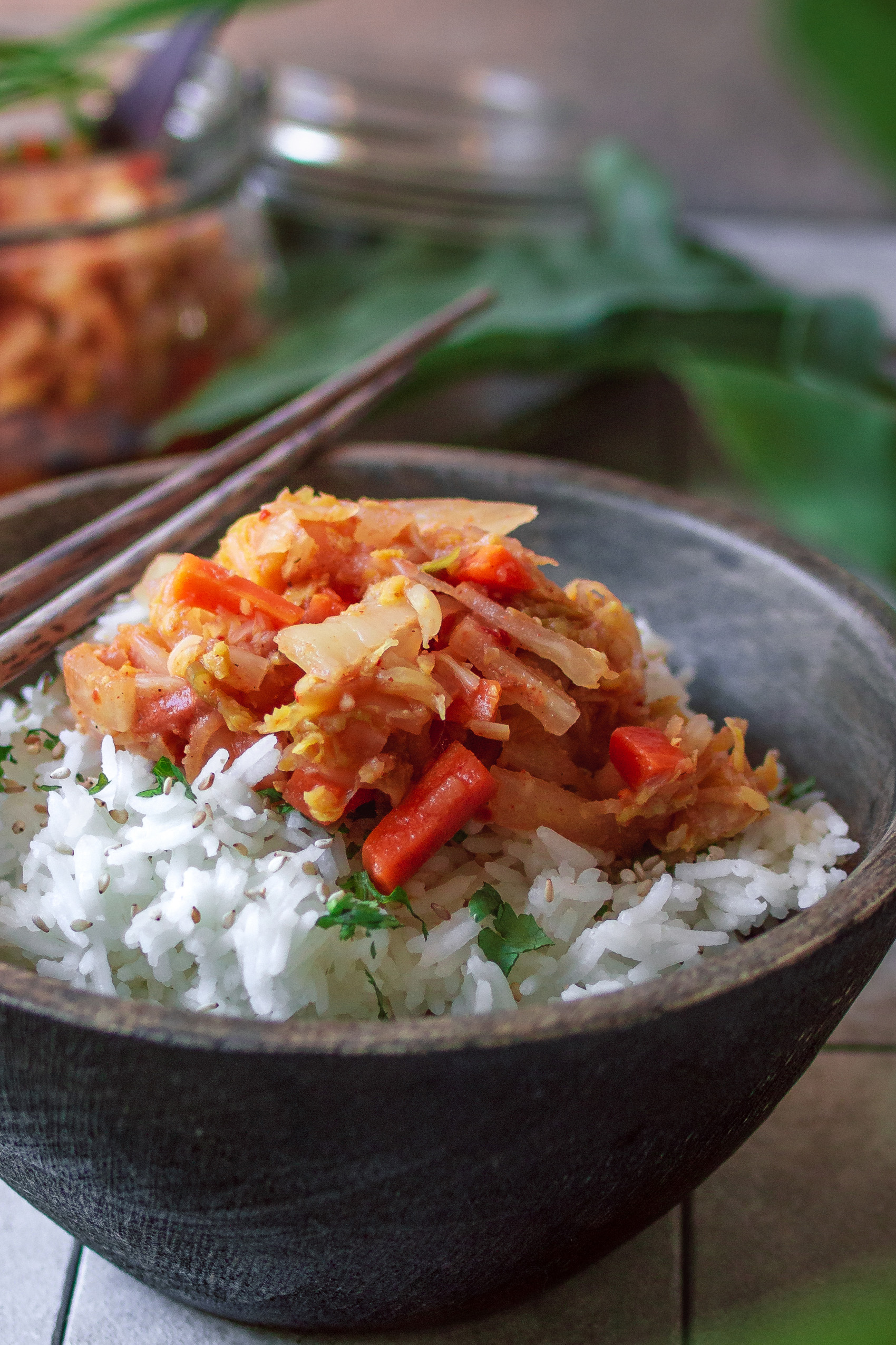Kimchi auf einer Schale mit Reis - Artikel über die Kunst des Fermentierens