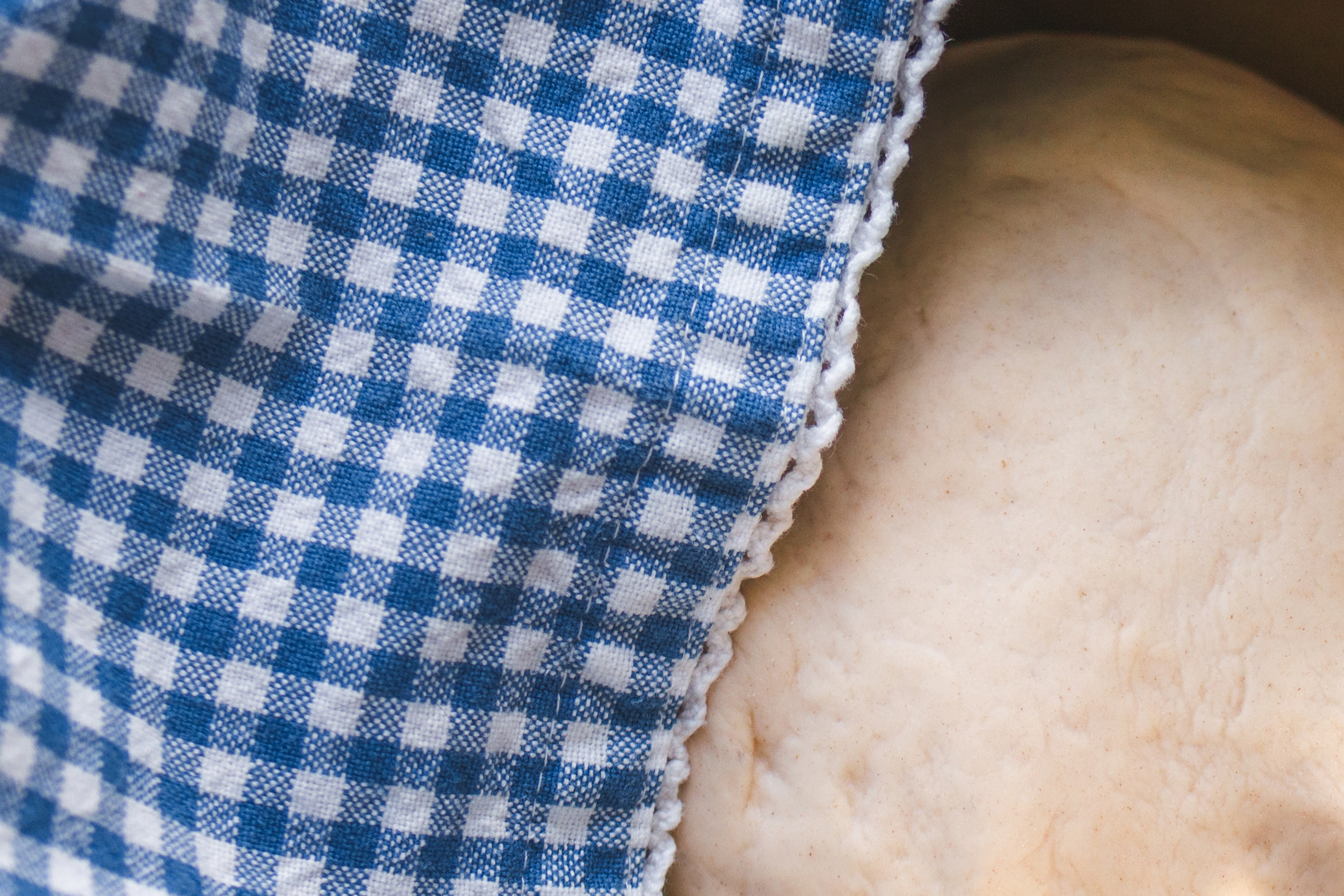 Pizzateig gehen lassen. Teig in einer Schüssl, halb verdeckt mit einem Küchenhandtuch