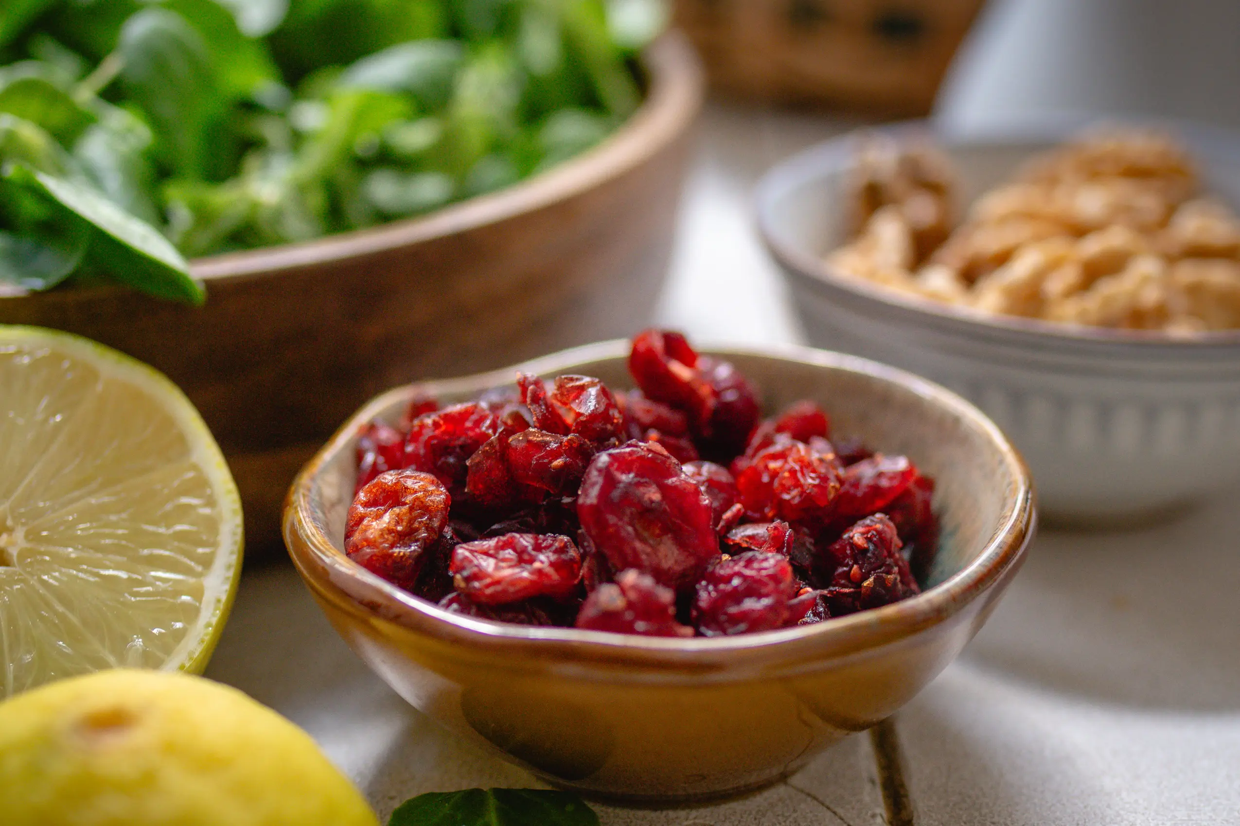 Getrocknete Cranberries in einer kleinen Schüssel