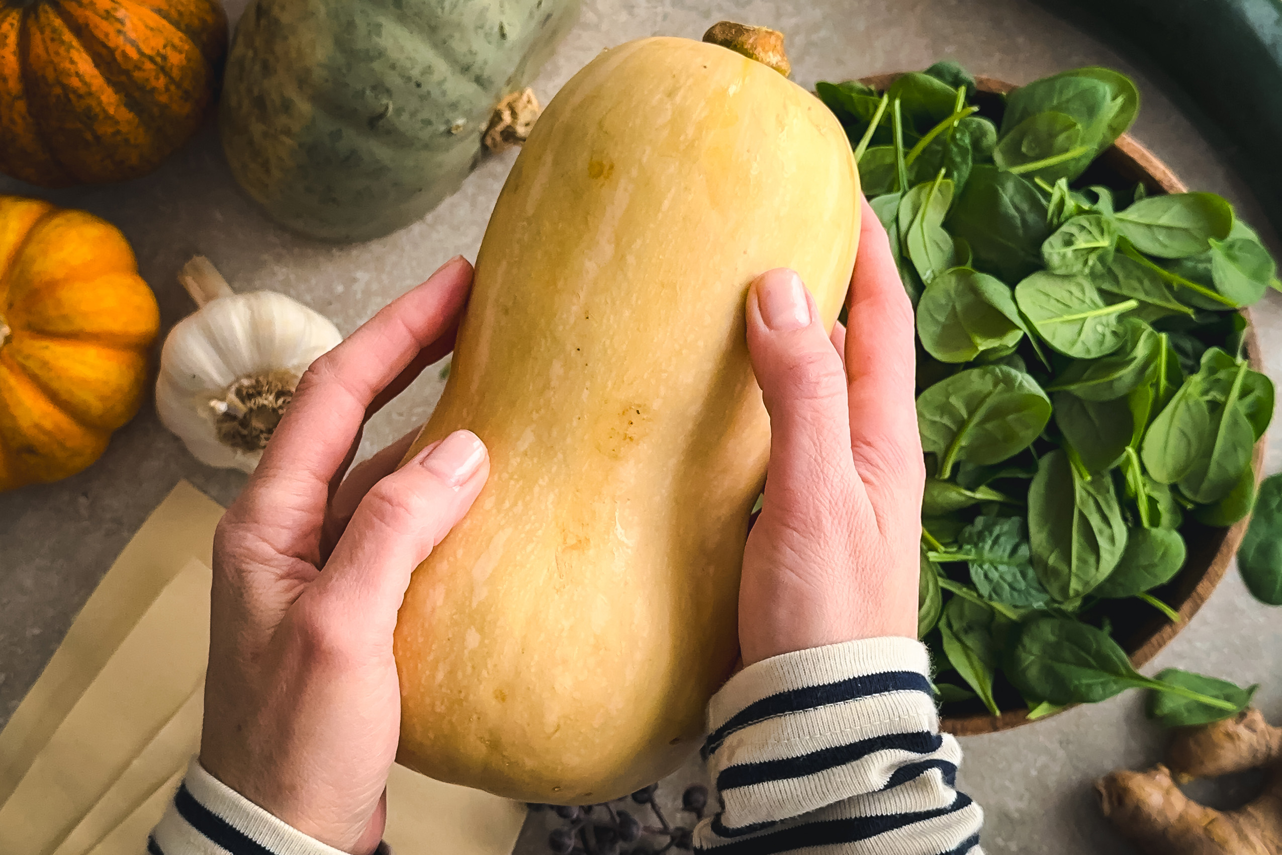 Butternutkürbis wird mit zwei Händen gehalten. darunter eine Küchenoberfläche mit frischem Spinat und Pastablättern