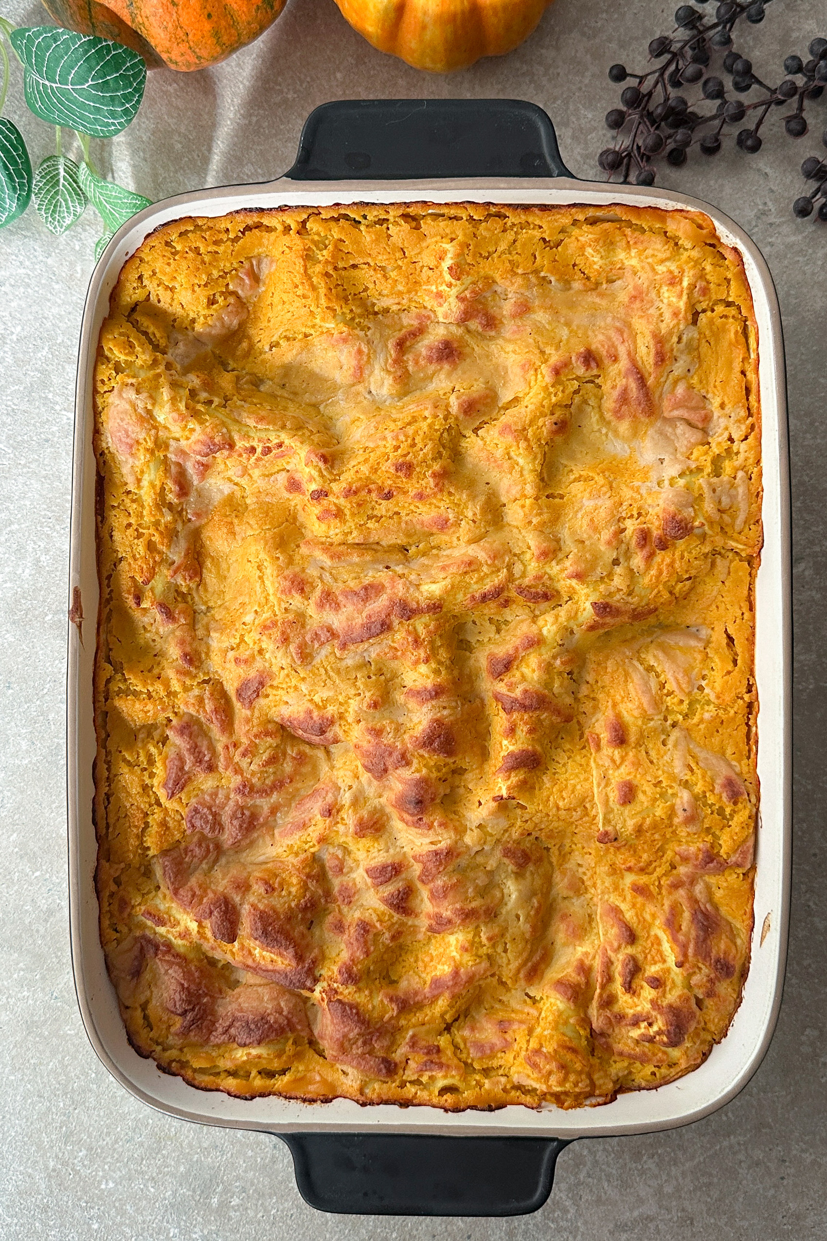 Vegane Kürbislasagne goldbraun überbacken frisch aus dem Ofen (Vogelperspektive)