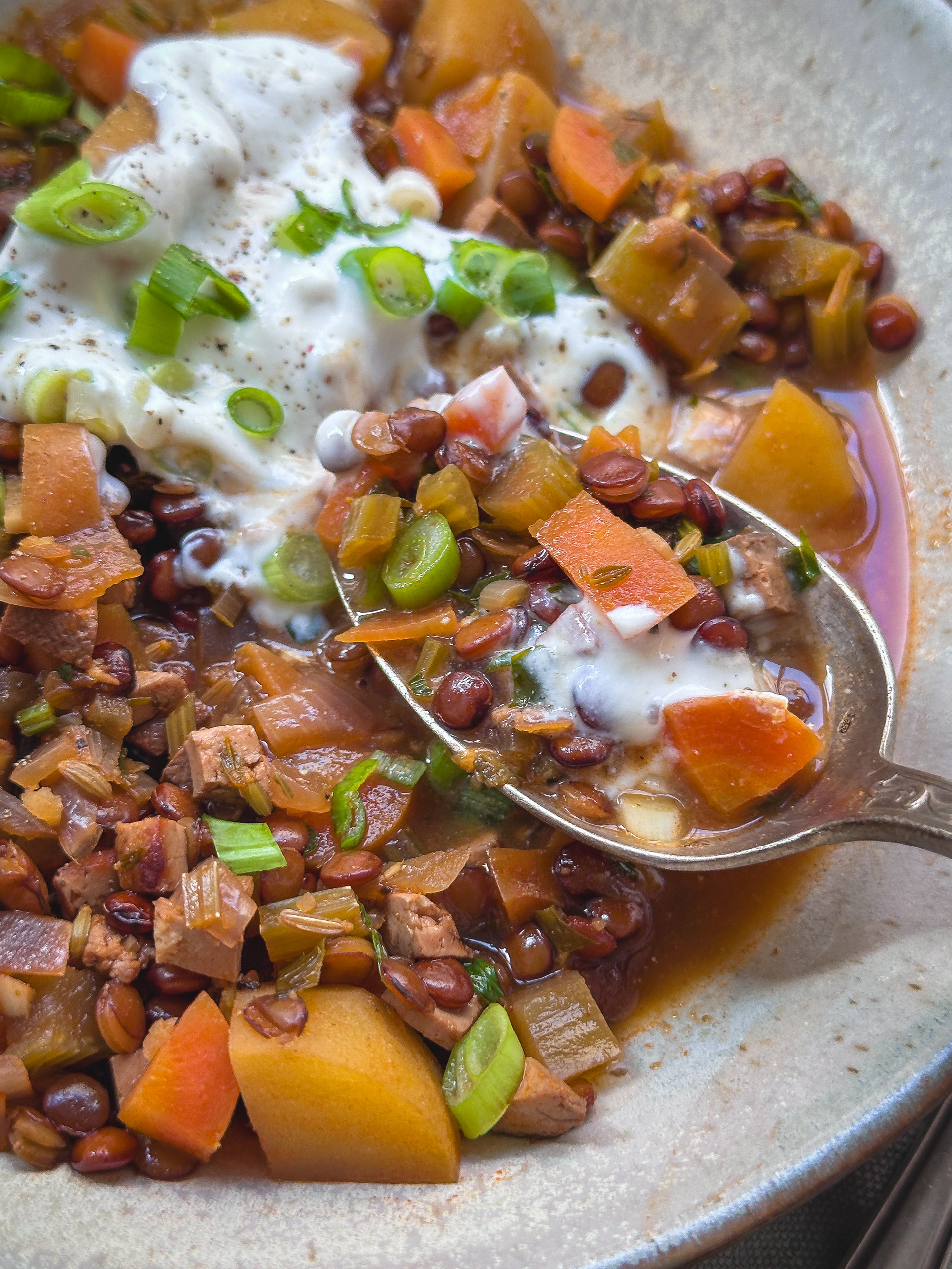 Veganer Berglinseneintopf, nahaufnahme mit Löffel