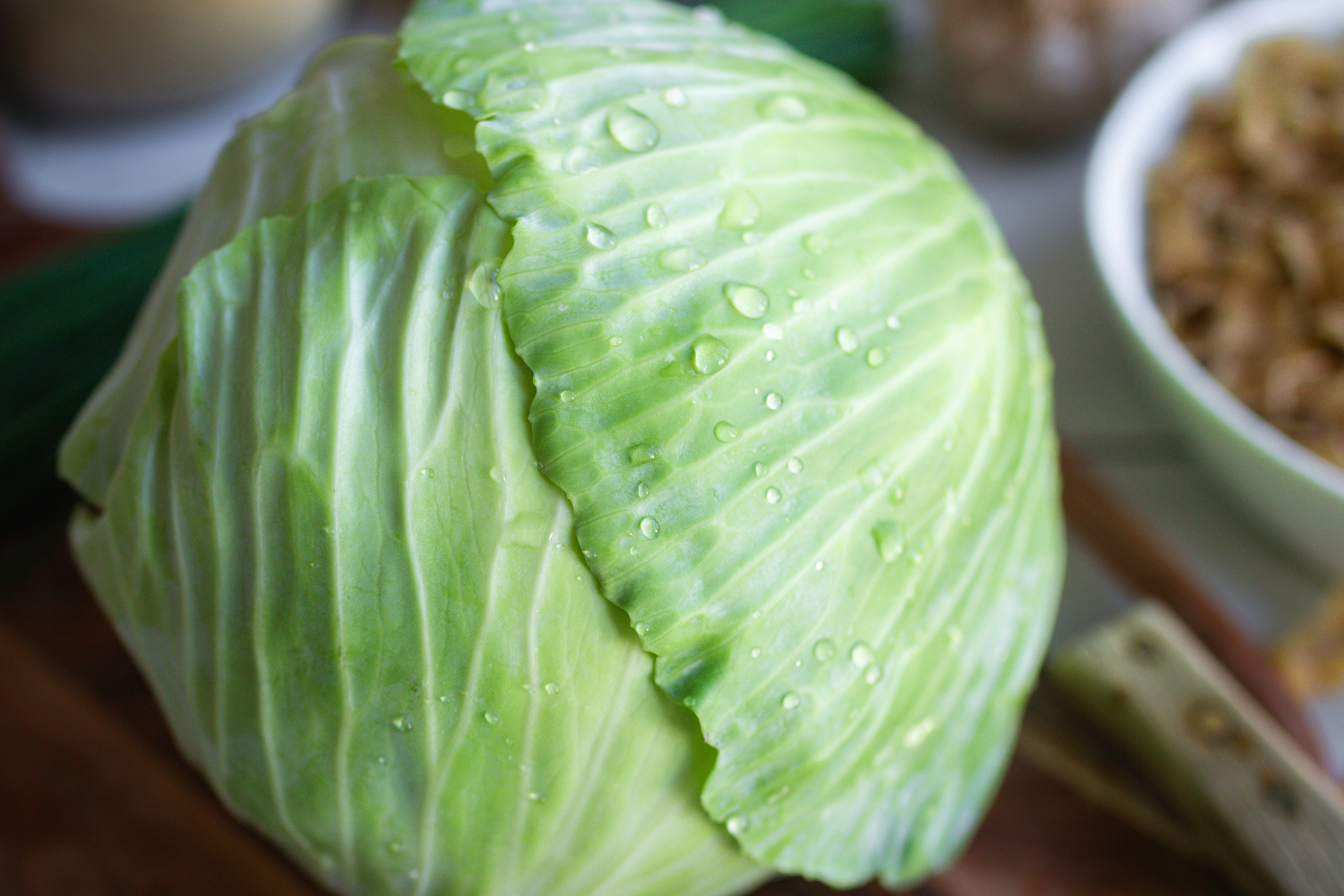 Weißkohl Nahaufnahme mit ein paar Wassertropfen